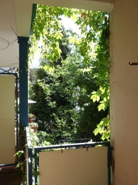Balkon zum grünen Innenhof